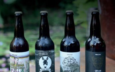 CERVECERÍA NEBULOSA