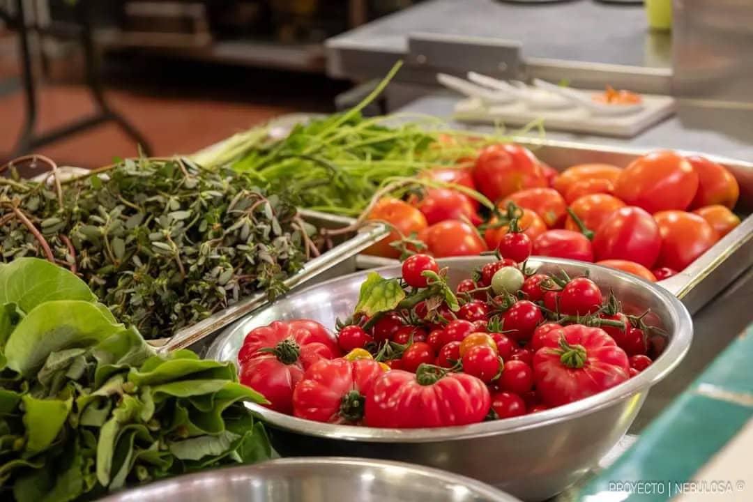 red_de_proveedores_locales